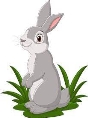 Cartoon funny rabbit in the grass 5162468 Vector Art at Vecteezy